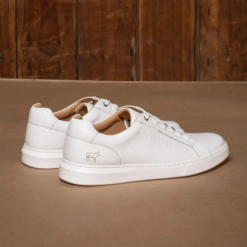 Bold Kingsley Logo Sneaker White/White